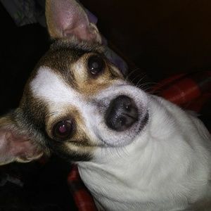 Meet your Posher, Noemi